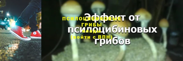 гашик Армянск
