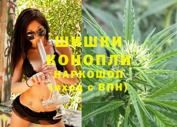 ешки Арсеньев
