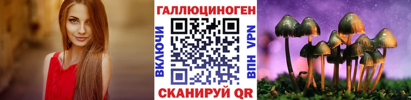 KRAKEN рабочий сайт  закладка  Давлеканово  Галлюциногенные грибы Cubensis 